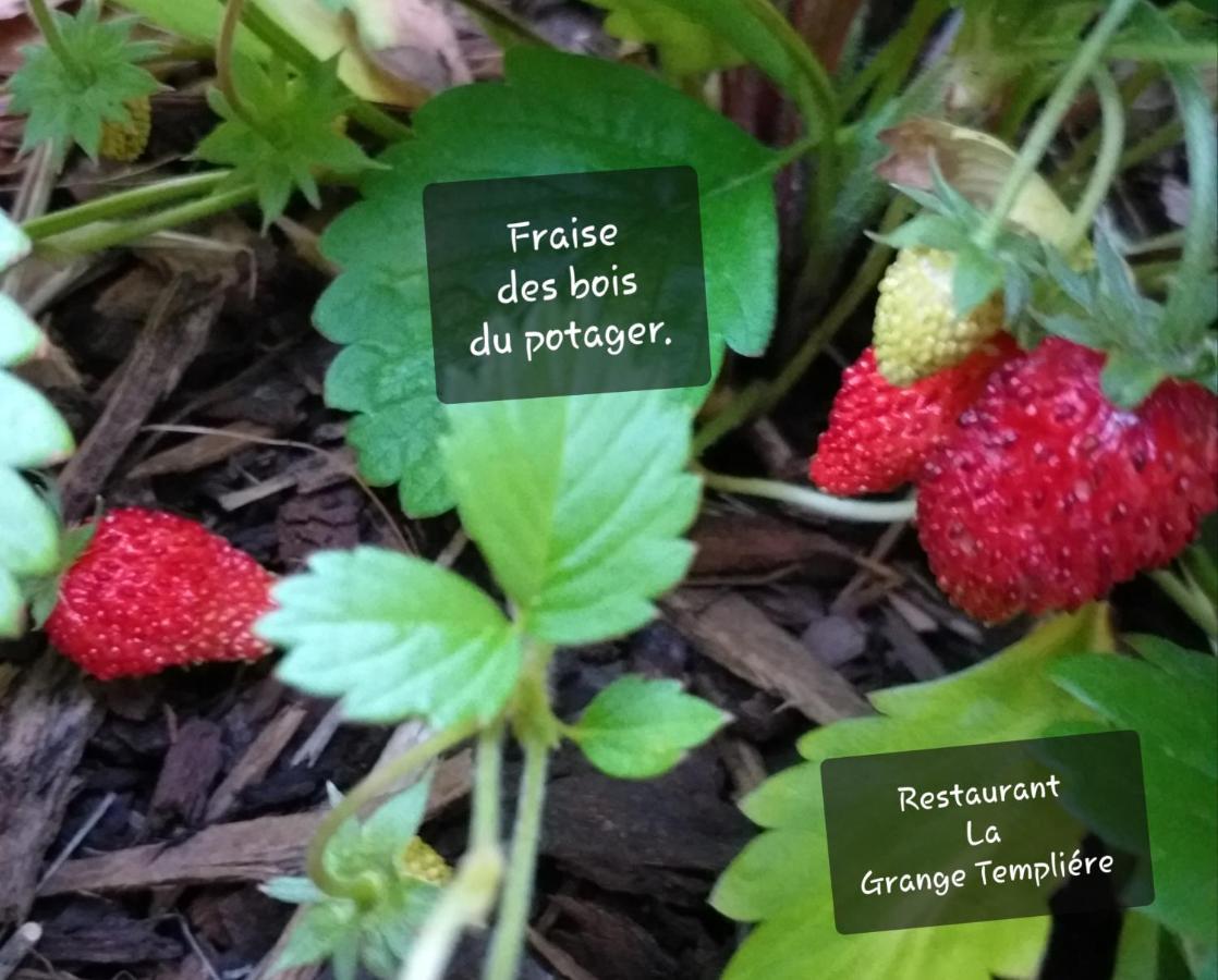 La Grange Templiere 2018 Bed and Breakfast Peyreleau Buitenkant foto